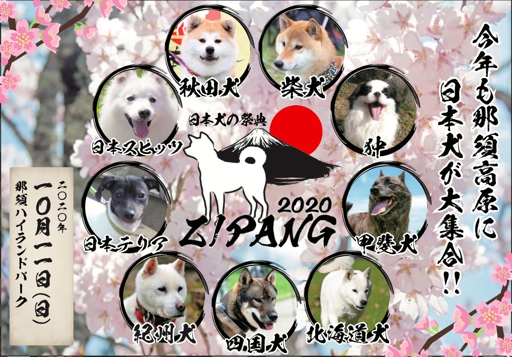 年 関東エリア ペットイベント一覧 随時更新 わんこブログ