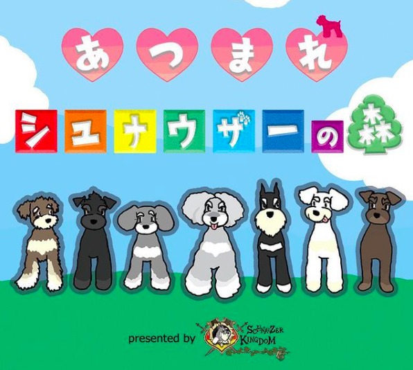 21年 関東エリア ペットイベント一覧 随時更新 わんこブログ